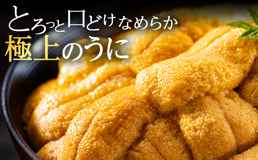 【先行予約】美味しいウニは昆布の名産地にあり!生むらさきうに120g