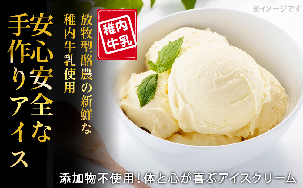 【業務用】稚内牛乳アイスクリーム2000ml宗谷の塩×コーヒー牛乳2個セット