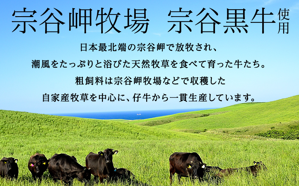【稚内ブランド認定品】宗谷岬牧場のハンバーグ　120g4枚入×6箱（合計24枚）