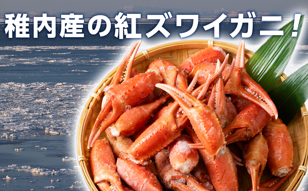 稚内産 紅ズワイガニ 爪 1kg あふれ出すカニの旨味が至高の爪肉