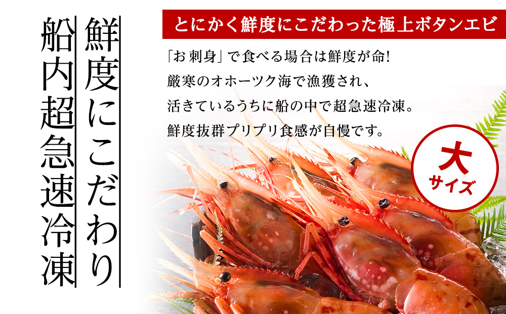 【厳選品】ボタンエビ大サイズ500g + ホタテ200gセット