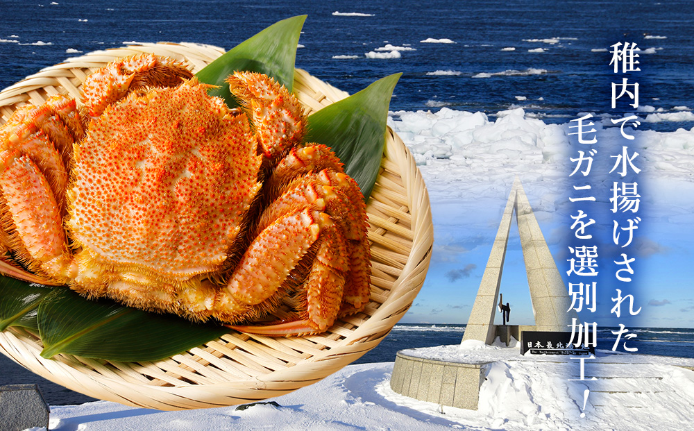 稚内産毛がに　400～500g×2尾