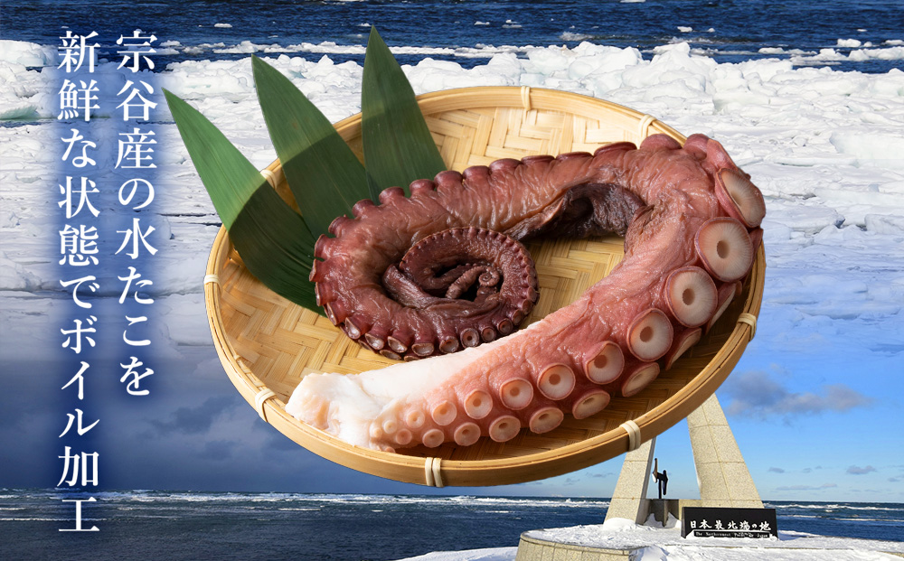 宗谷産　刺身用　煮たこ足約1.3kg（足2～4本）