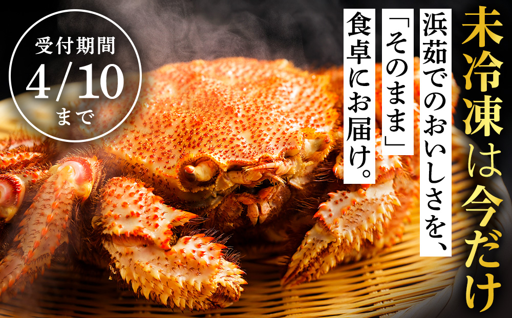 【未冷凍でお届け！】稚内産チルド毛がに 500～600g×4尾