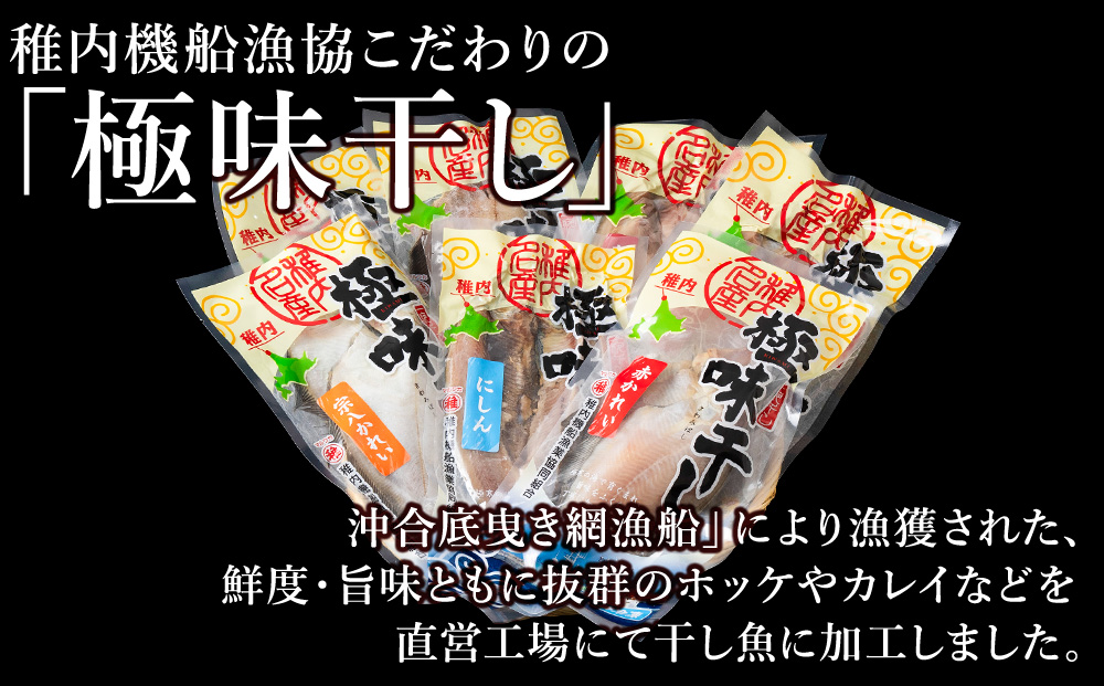 稚内5魚種一夜干セット（極味干し）