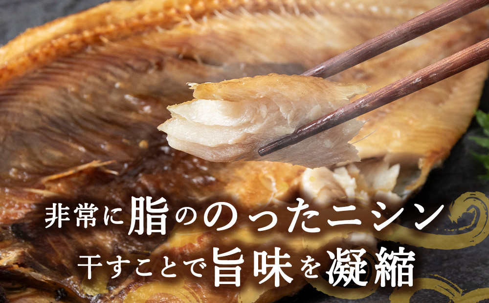【定期便4カ月】にしん開き 2枚入 ×5袋【配送不可地域：離島・沖縄県】
