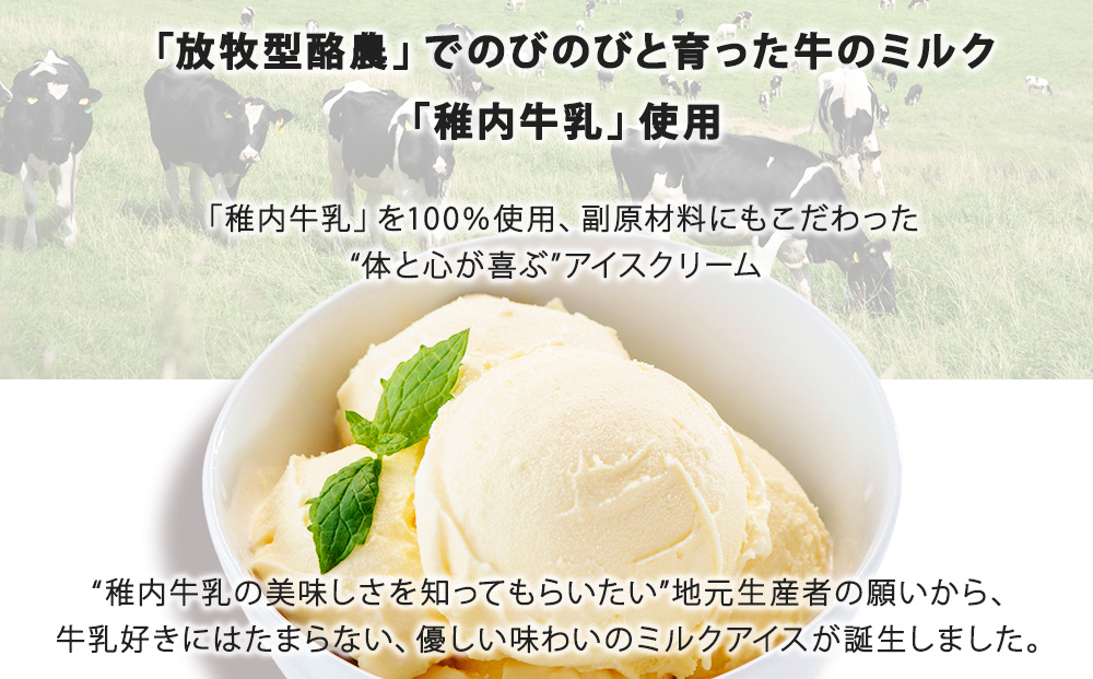 【業務用】稚内牛乳 アイスクリーム 2L×2個（宗谷の塩 & チョコレート）と 珍味