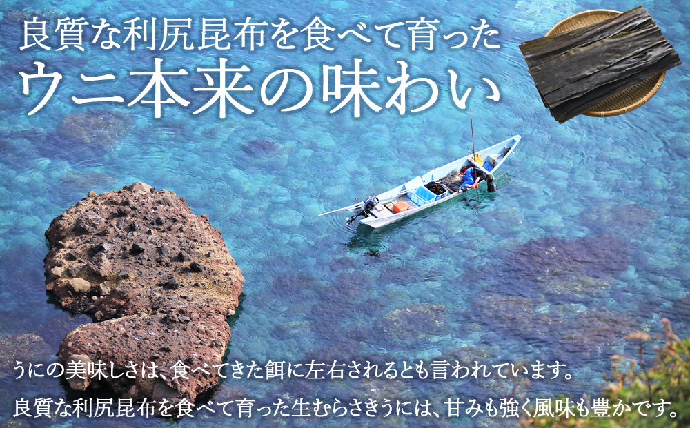 【先行予約】【厳選PREMIUM】美味しいウニは昆布の名産地にあり!生むらさきうに360g