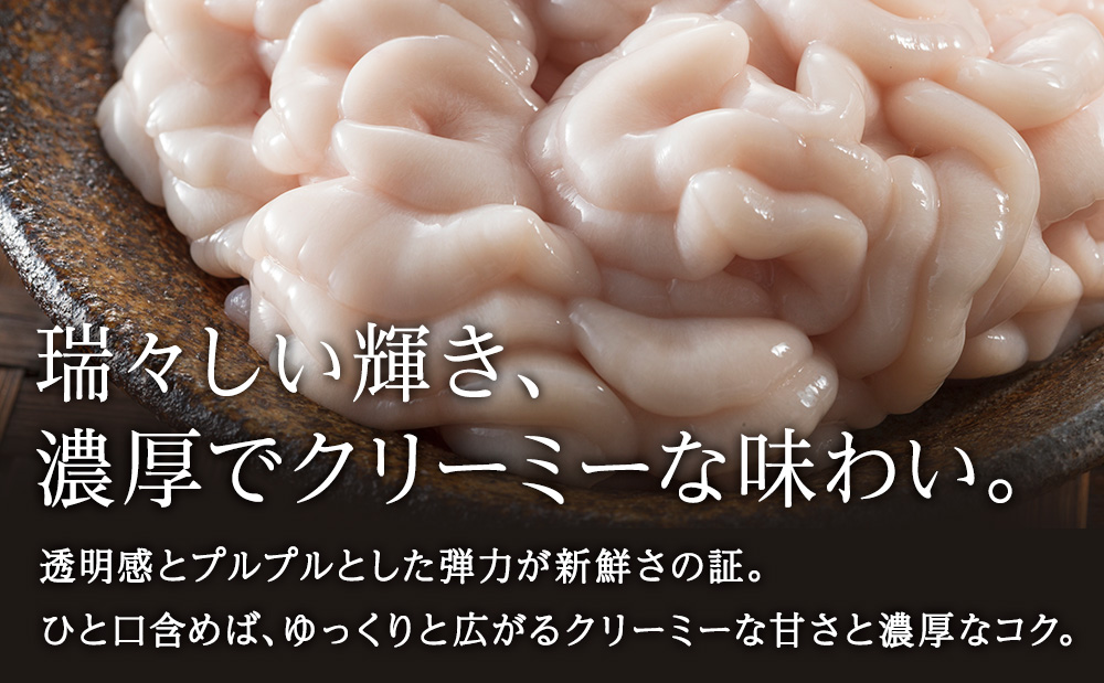 【2026年1月以降発送】【先行予約】旬の時期にチルドでお届け!北海道産白子(真鱈) 1kg 真だち たち タチ 真ダチ