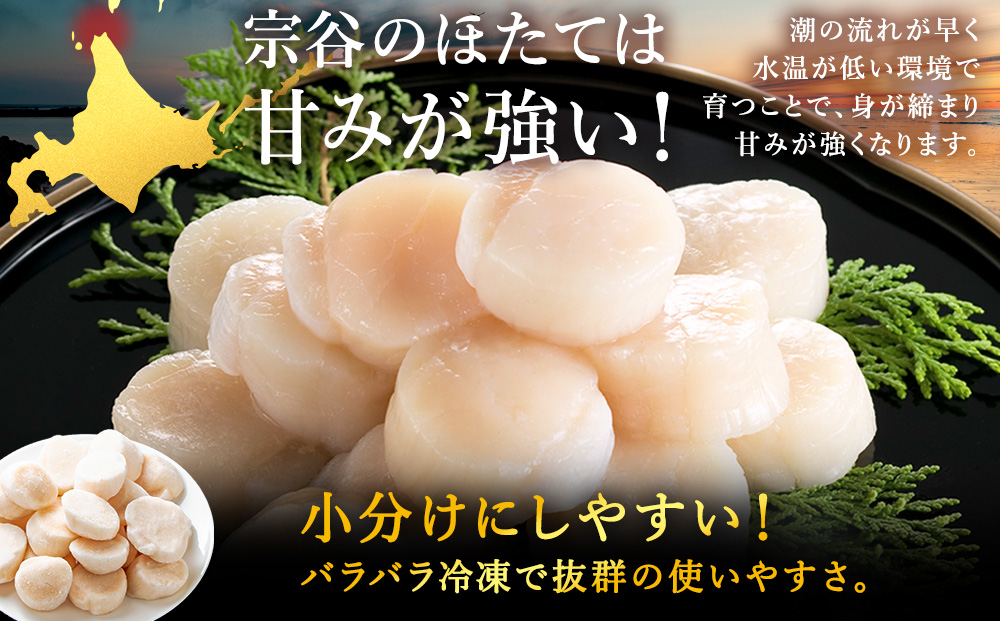 宗谷産 帆立 玉冷Aフレーク1.6kg（800g×2）（割れ込）海鮮 刺身