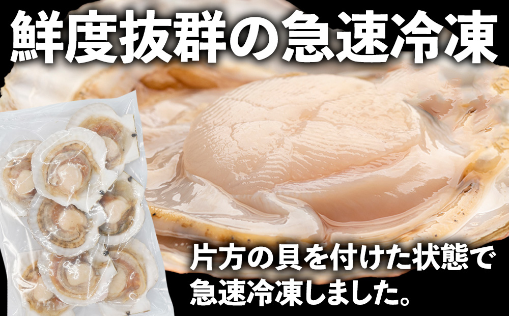 【焼き貝用】2025年製造 宗谷産ホタテ貝 した処理済み片貝付き（約800g×2袋）