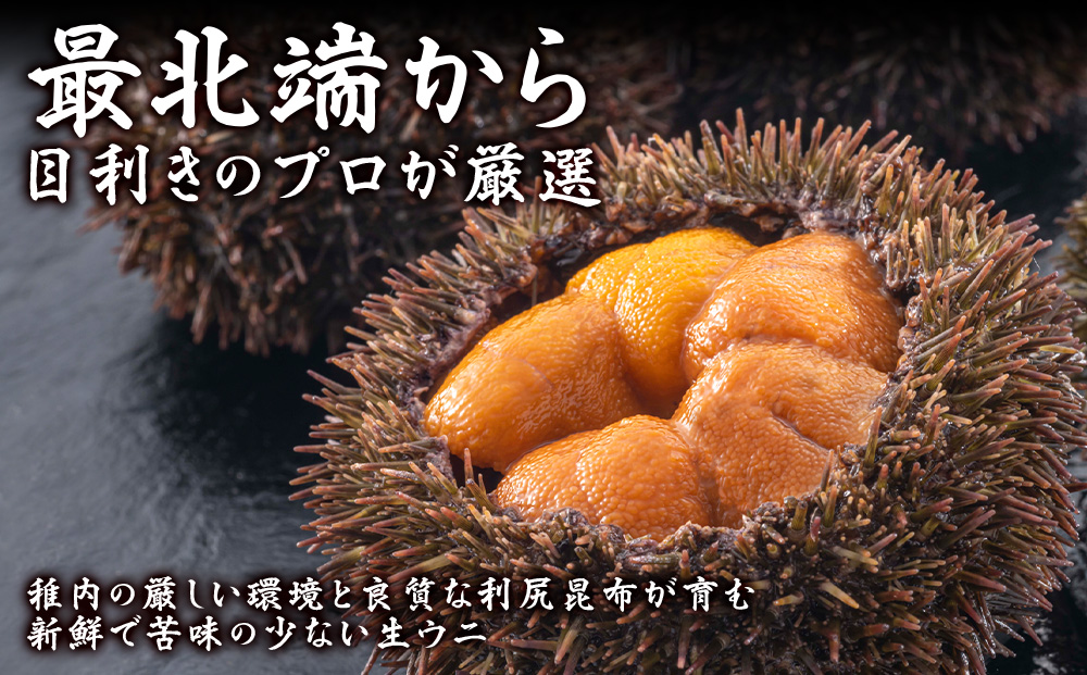 【先行予約】美味しいウニは昆布の名産地にあり!生むらさきうに120g