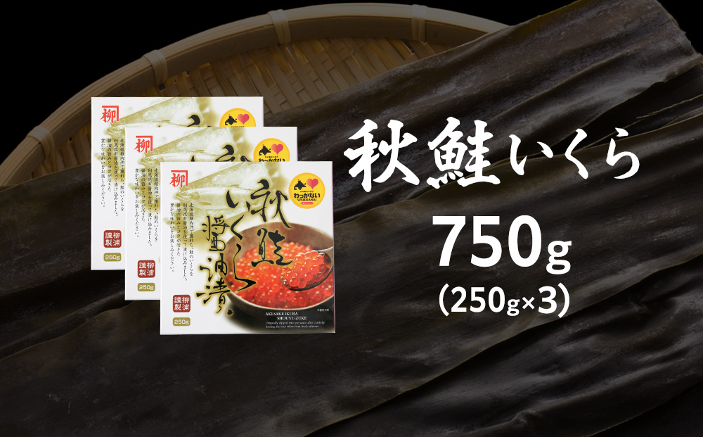【宗谷海峡産】秋鮭いくら醤油漬け250g×3