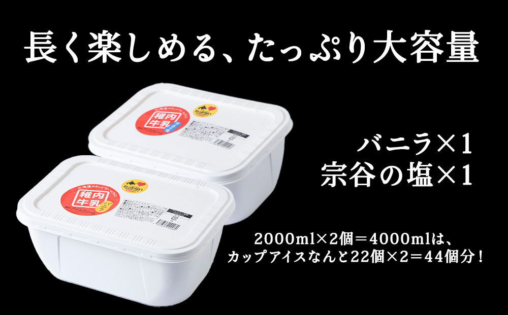 【業務用】稚内牛乳アイスクリーム 2000ml バニラ × 宗谷の塩 2個 セット