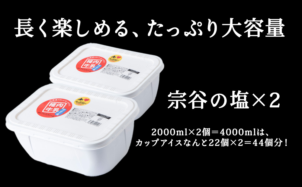 【業務用】稚内牛乳アイスクリーム2000ml宗谷の塩×宗谷の塩2個セット