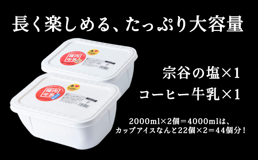 【業務用】稚内牛乳アイスクリーム2000ml宗谷の塩×コーヒー牛乳2個セット