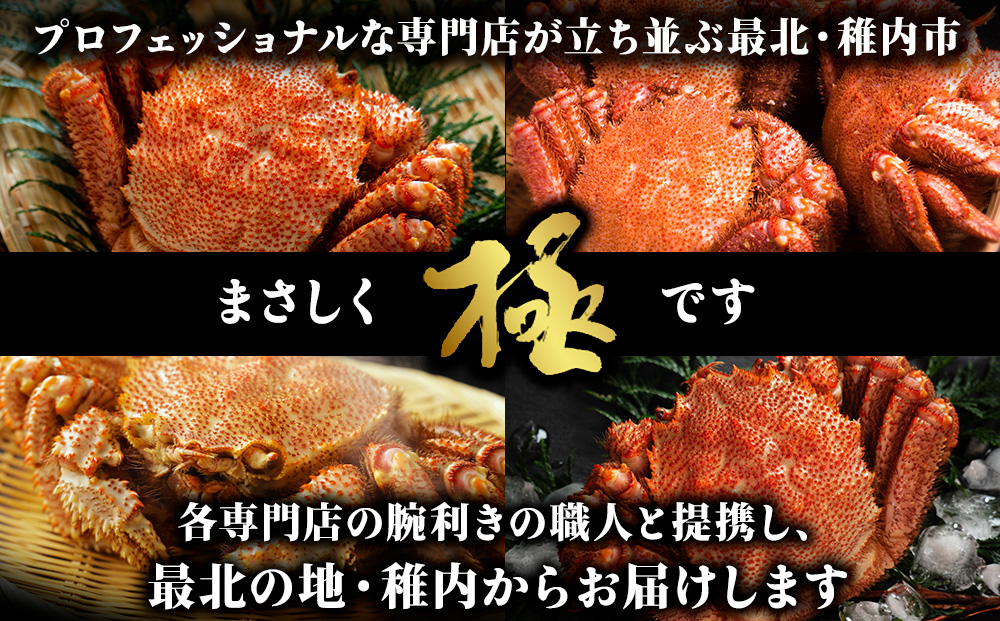 【稚内産・極】 浜ゆで毛ガニ(堅蟹) 800g～900ｇ×1尾KU139sku