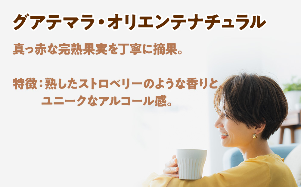 自家焙煎珈琲　ドリップバッグコーヒー グアテマラ・オリエンテナチュラル 6袋《中煎り》