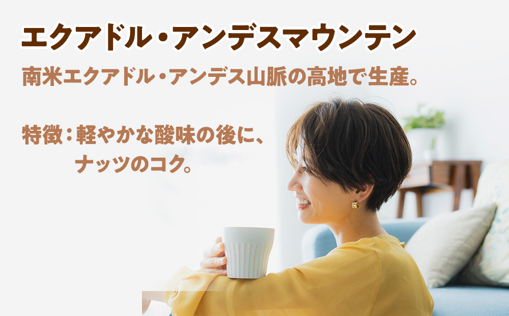 自家焙煎珈琲　ドリップバッグコーヒー エクアドル・アンデスマウンテン 6袋