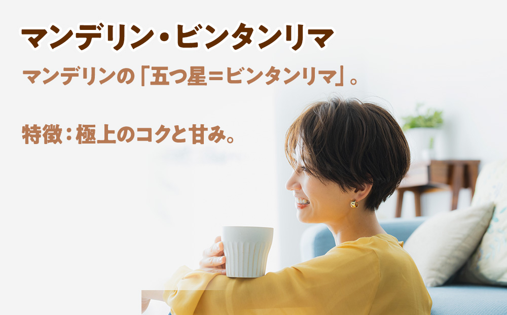 自家焙煎珈琲　ドリップバッグコーヒー インドネシア・マンデリンビンタンリマ 6袋