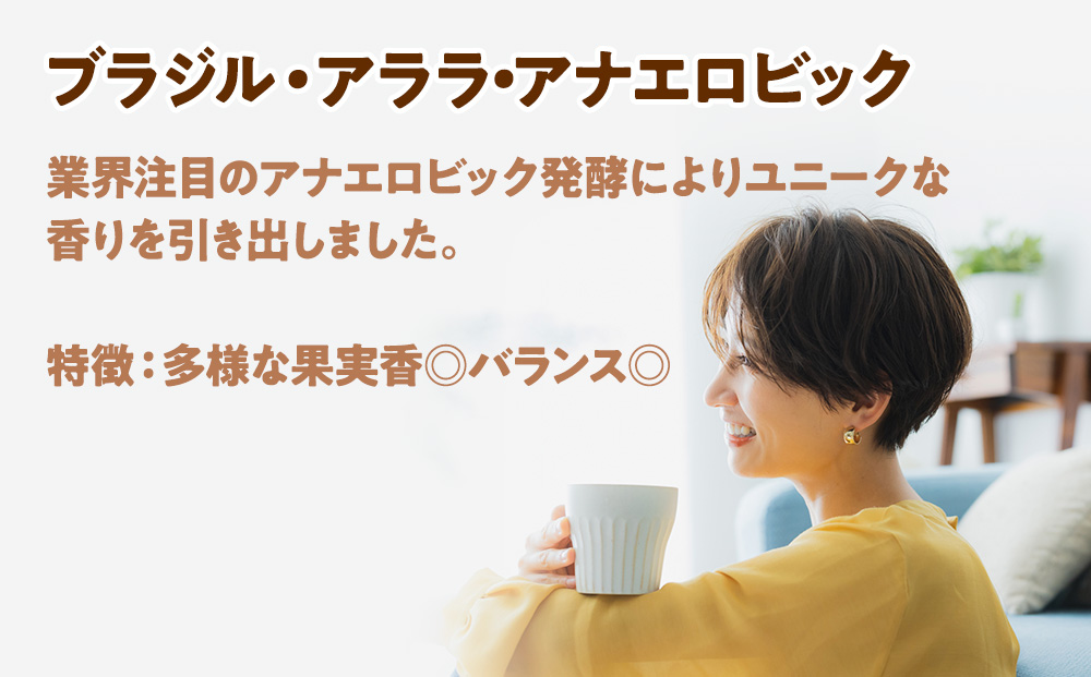 自家焙煎珈琲　ドリップバッグコーヒー ブラジル・アララ・アナエロビック 6袋《中煎り》