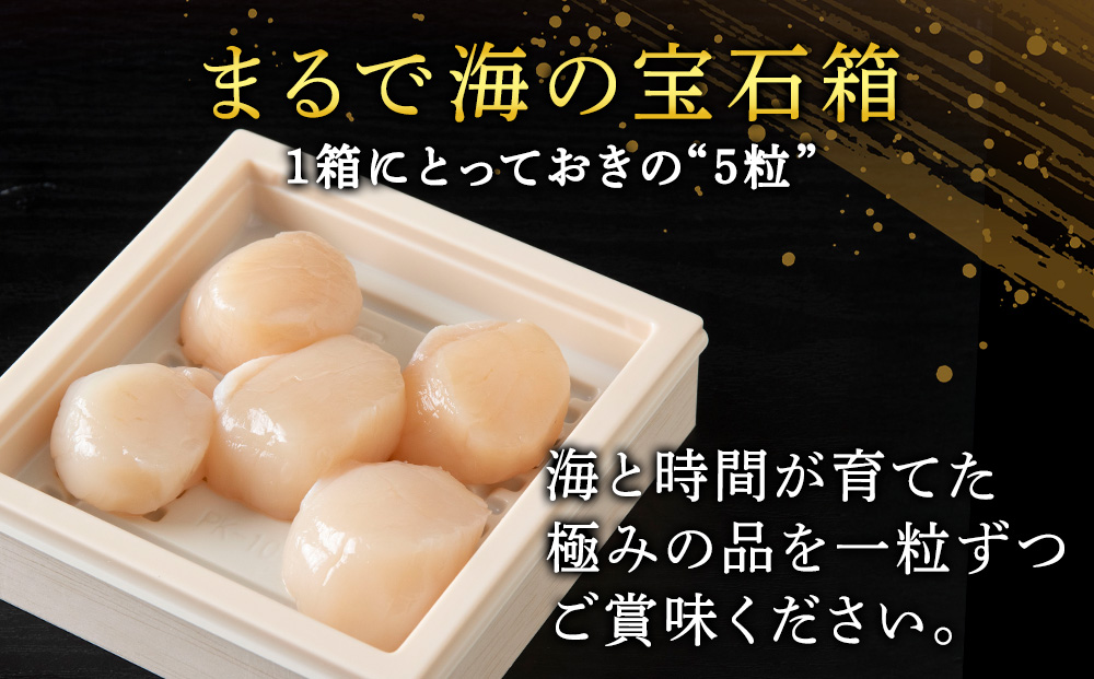 熟成濃縮ほたて貝柱(5玉入)×3