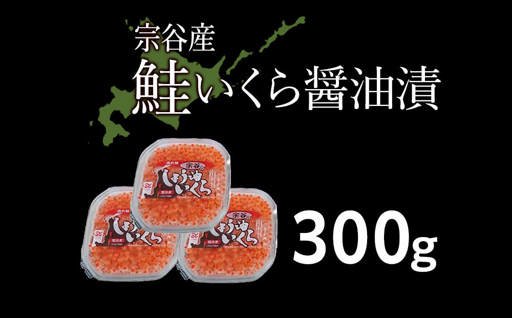 【北海道稚内市宗谷産】いくら 醤油漬 100g×3個