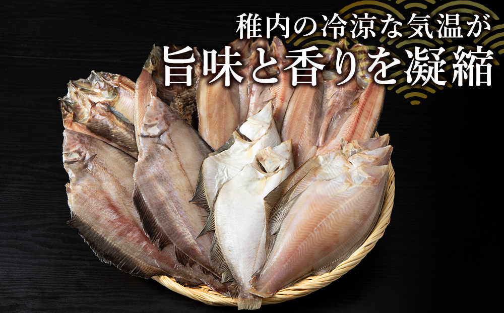稚内5魚種一夜干セット（極味干し）