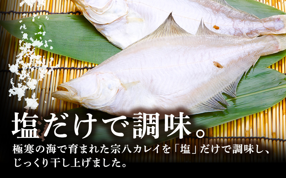 【定期便4カ月】宗八かれい一夜干 特大2枚入×5袋【配送不可地域：離島・沖縄県】