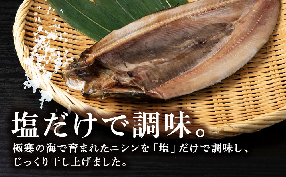 【定期便4カ月】にしん開き 2枚入 ×5袋【配送不可地域：離島・沖縄県】
