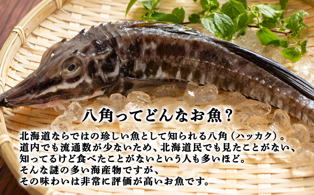 稚内産　生冷八角　6枚