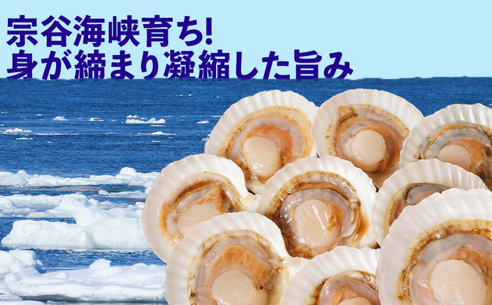 【焼き貝用】2025年製造 宗谷産ホタテ貝 した処理済み片貝付き（約800g×2袋）