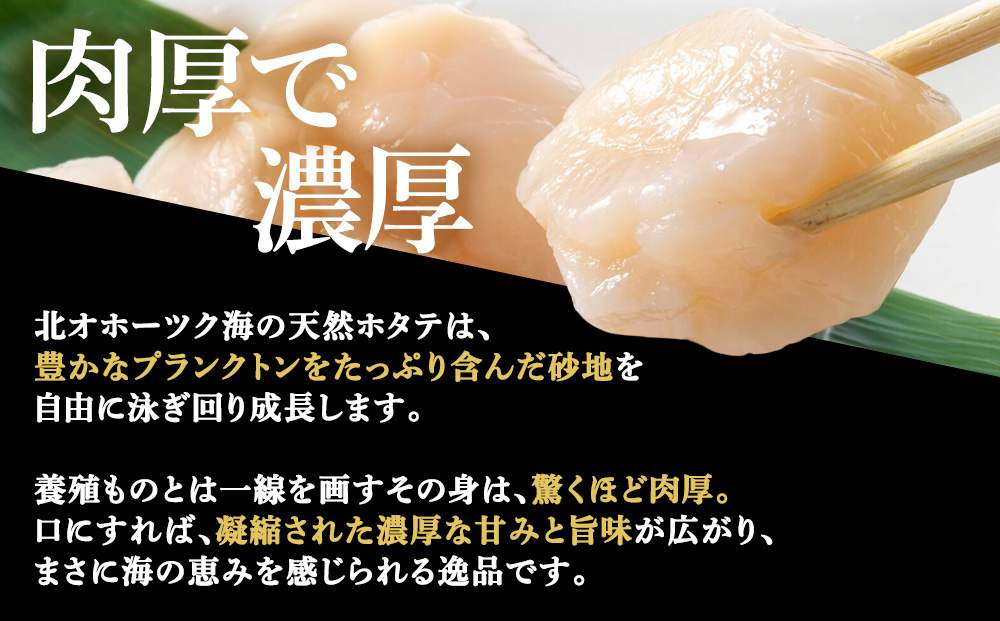 プレミアム玉冷（-70℃凍結ほたて生貝柱）400g【化粧箱入】