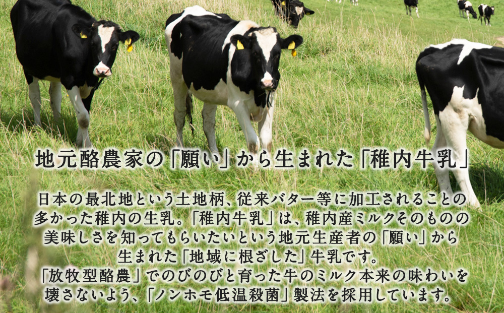 【定期便3ヶ月】稚内牛乳 のむヨーグルト 詰め合わせ（500g×2本、150g×12本）