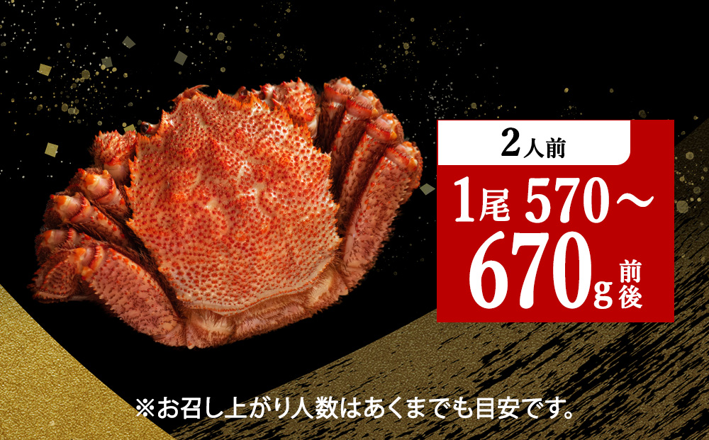 【稚内産・極】 浜ゆで毛ガニ(堅蟹) 570g～670ｇ×1尾