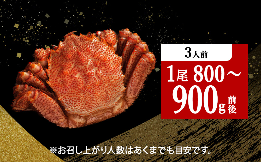 【稚内産・極】 浜ゆで毛ガニ(堅蟹) 800g～900ｇ×1尾KU139sku