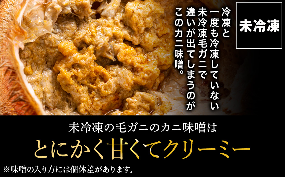 【未冷凍、冷蔵発送! 2026年新物】極・稚内産毛ガニ500g～600g 浜茹でチルド