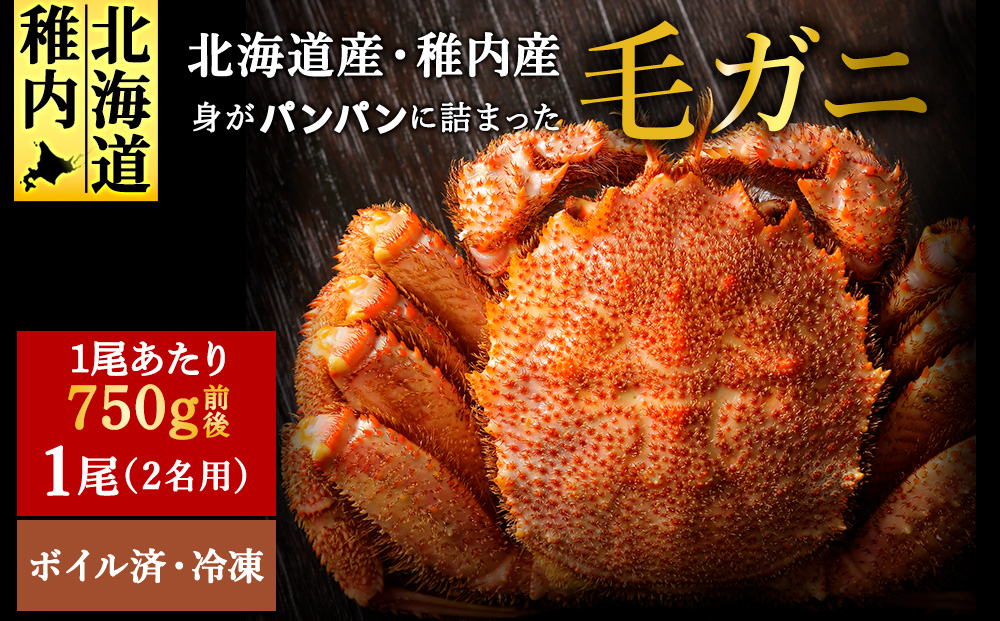 【ボイル済み急速冷凍】身がぎっしりと詰まった毛ガニ750g前後×1尾
