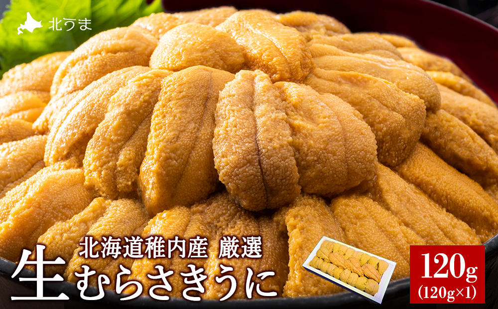 【先行予約】【厳選PREMIUM】美味しいウニは昆布の名産地にあり!生むらさきうに120g