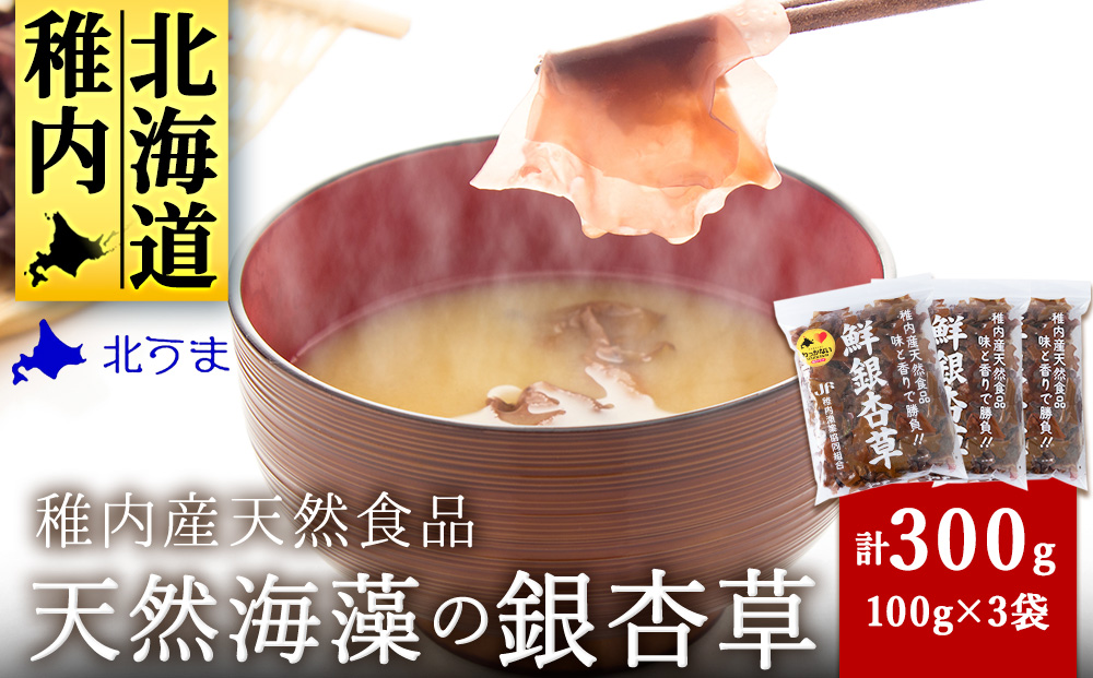 天然海藻の銀杏草