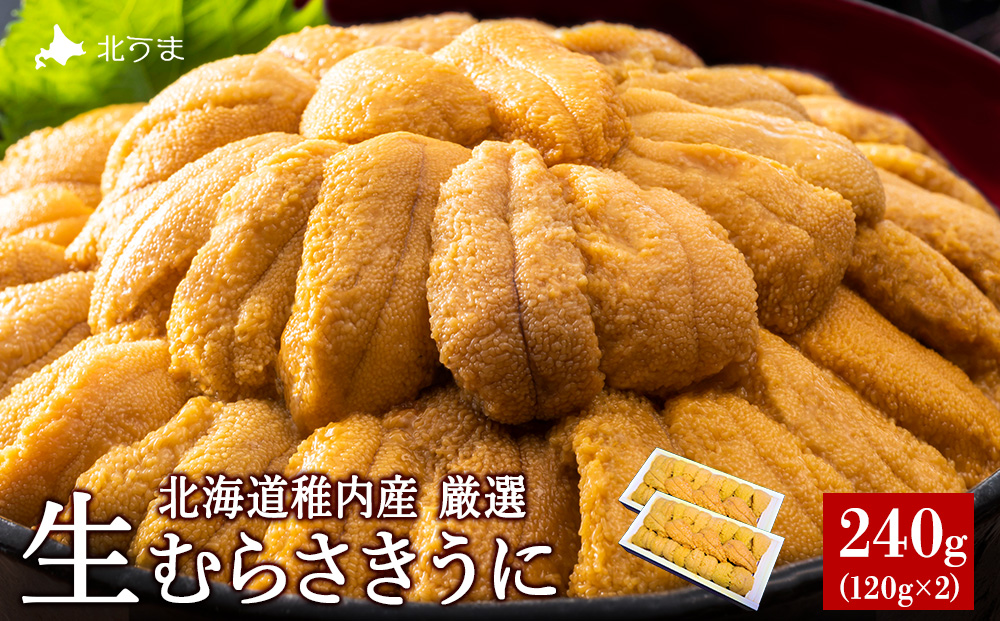 【先行予約】【厳選PREMIUM】美味しいウニは昆布の名産地にあり!生むらさきうに240g
