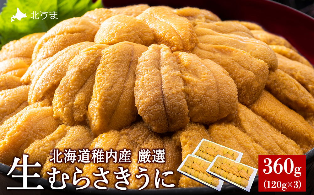 【先行予約】【厳選PREMIUM】美味しいウニは昆布の名産地にあり!生むらさきうに360g