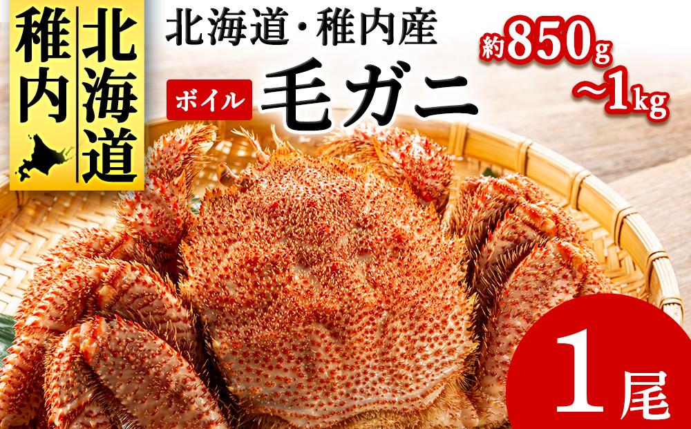 北海道産 毛ガニ 1尾 850g～1kg（ボイル）【2025製造】