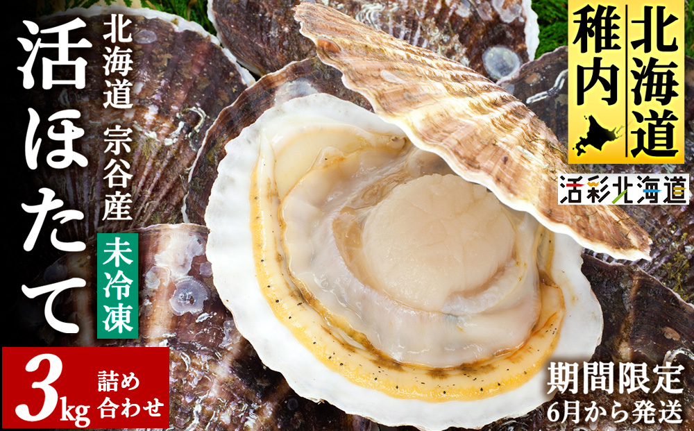 【先行受付】《冷蔵便でお届け!》北海道宗谷産活ホタテ3kg前後詰合せセット　泳ぐ帆立参上!