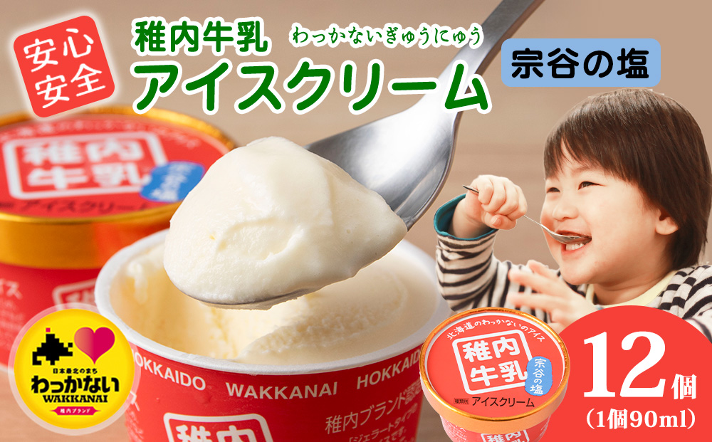 稚内牛乳 アイスクリーム 宗谷の塩　12個セット（各90ml）