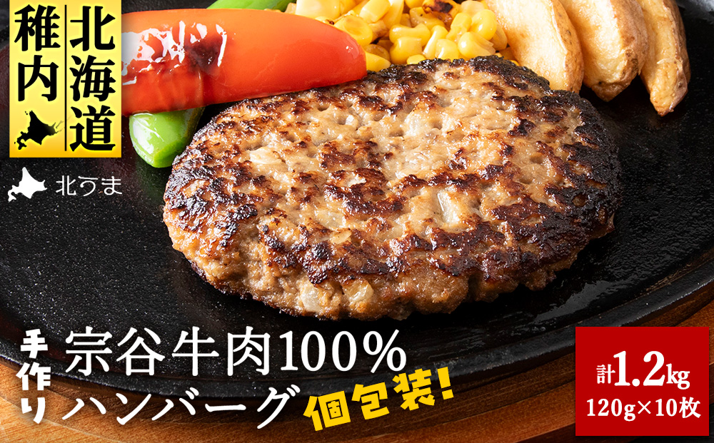 【業務用】宗谷牛肉100% 手作りハンバーグ120g×10人前