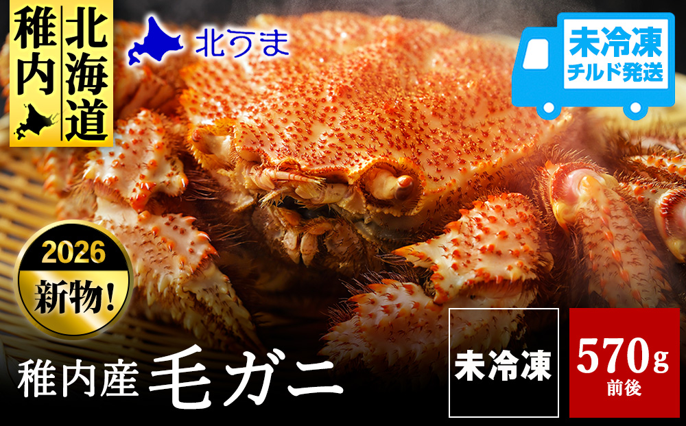 【未冷凍、冷蔵発送! 2026年新物】極・稚内産毛ガニ570g～670g 浜茹でチルド