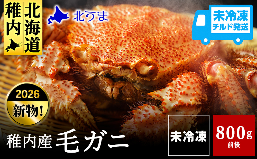 【未冷凍、冷蔵発送! 2026年新物】極・稚内産毛ガニ800g～900g 浜茹でチルド