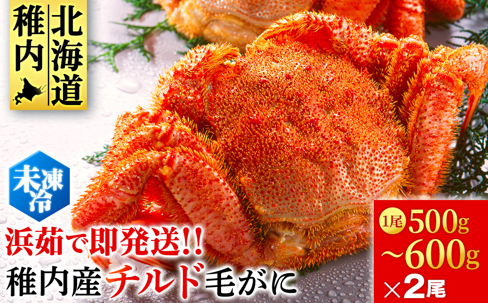 【未冷凍でお届け！】稚内産チルド毛がに 500～600g×2尾