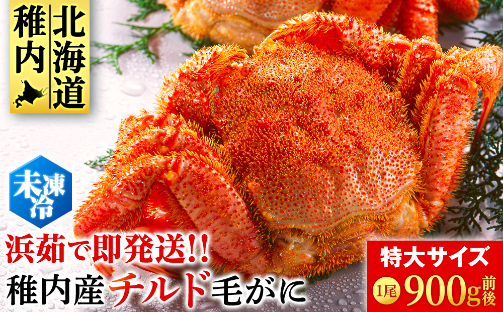 【未冷凍でお届け！】稚内産チルド毛がに 900g前後×1尾
